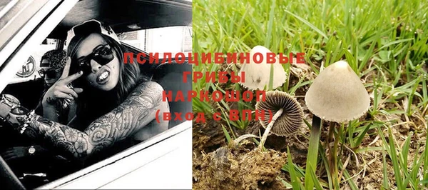бошки Медвежьегорск