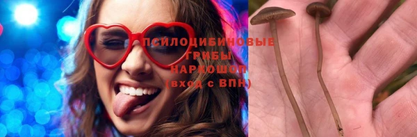 бошки Медвежьегорск