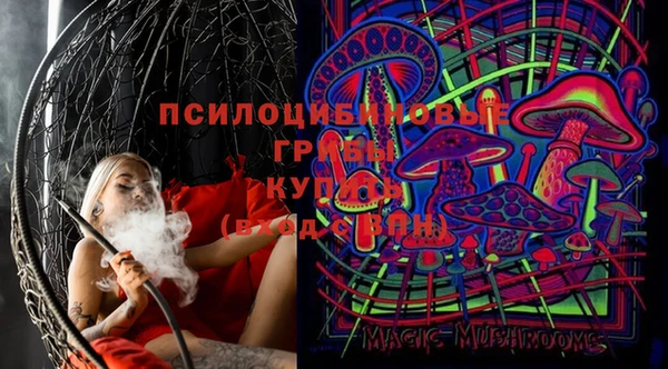 spice Мегион