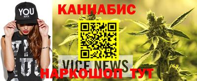 гидра Заводоуковск