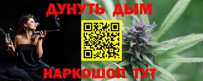 гидра Заводоуковск