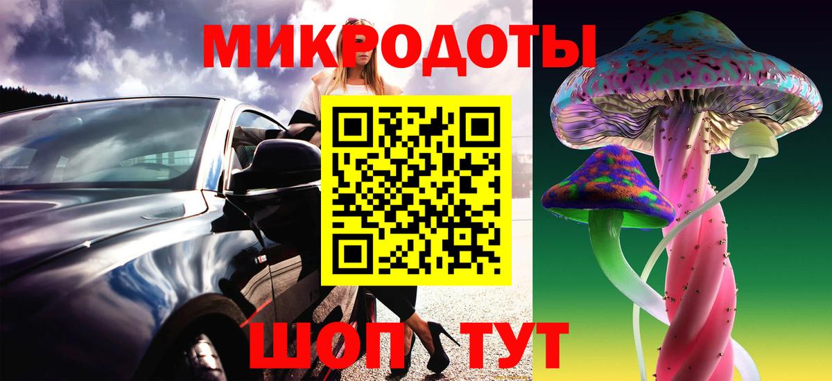 Псилоцибиновые грибы мухоморы Геленджик
