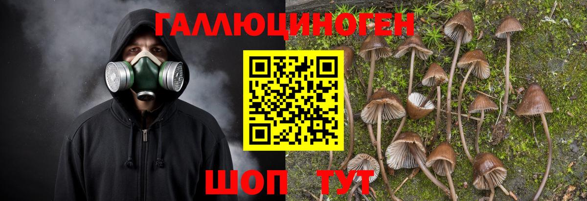 Галлюциногенные грибы прущие грибы  Вход с VPN  Геленджик 